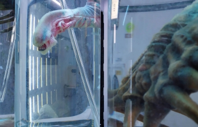 Квест Sveśie. Laboratorija